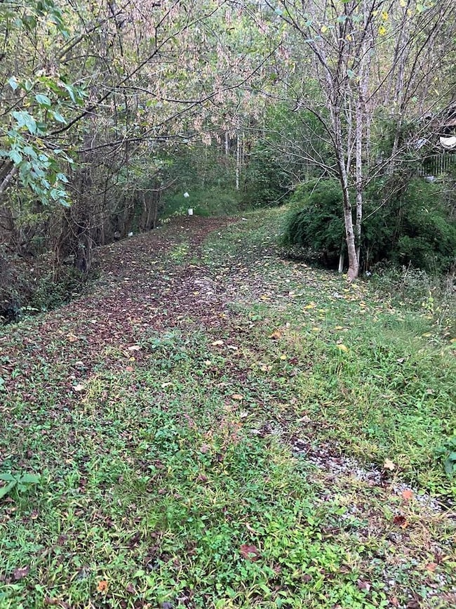 226 Madisons Fork, Dana, KY 41615 - photo 4