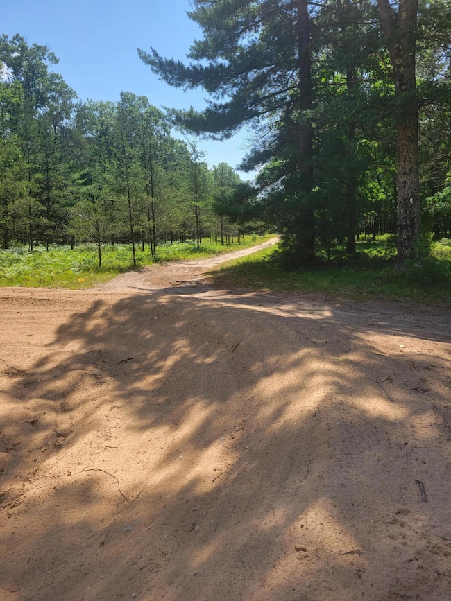 0 Star Acres Dr unit 25034744, Baldwin, MI 49304 - photo 5