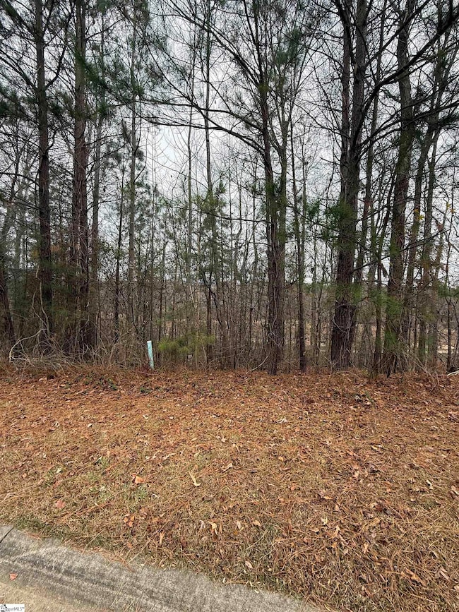 208 Wedge Way, Travelers Rest, SC 29690 - photo 3