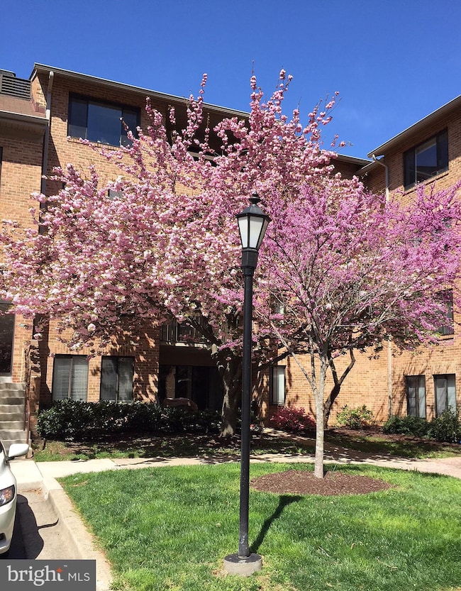 11419 Commonwealth Dr unit 104, Rockville, MD 20852 - photo 2