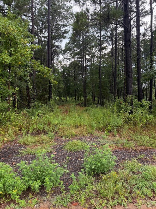 833 County Road 3639, Big Sandy, TX 75755 - photo 2