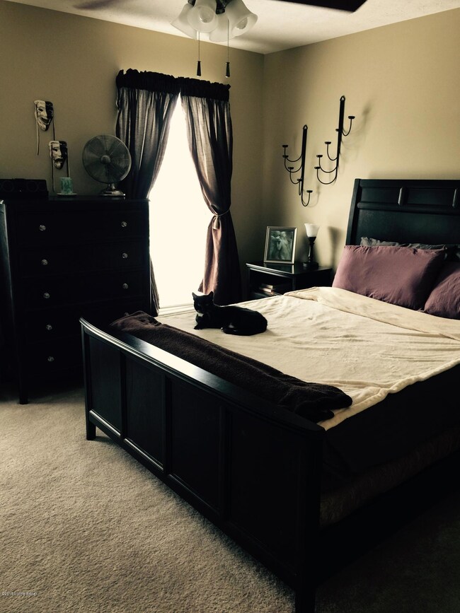 6705 Arbor Creek Dr unit 15, Louisville, KY 40228 - photo 7