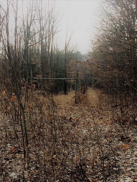 View from back of property, path is old twp road