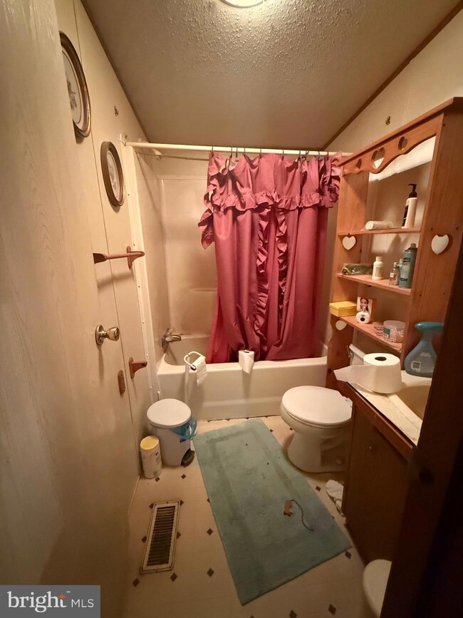 113 Diamond Way, Berkeley Springs, WV 25411 - photo 5