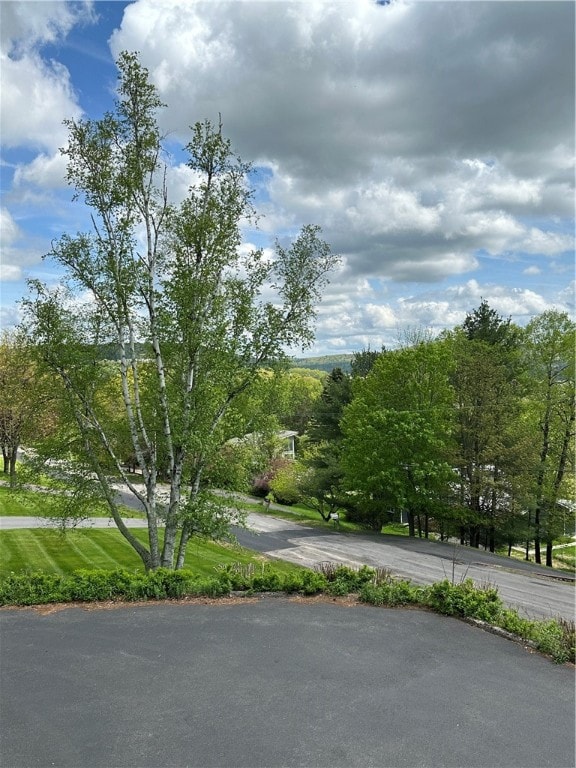Neighborhood