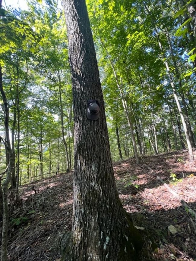 0 Wet Mill Creek Rd unit LotWP001 18424138, Celina, TN 38551 - photo 5