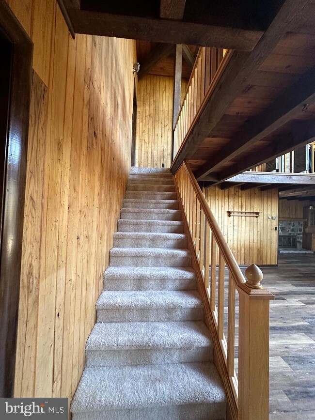 756 Thorny Meadows Rd, Franklin, WV 26807 - photo 7