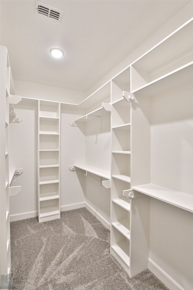 Spacious closet with carpet floors
