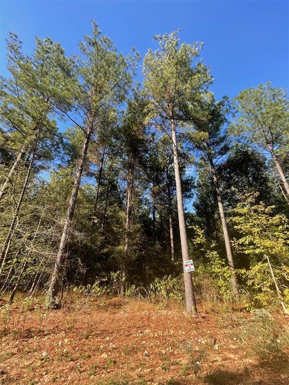 758 Timber Creek Trails South XI, Broken Bow, OK 74728 - photo 2