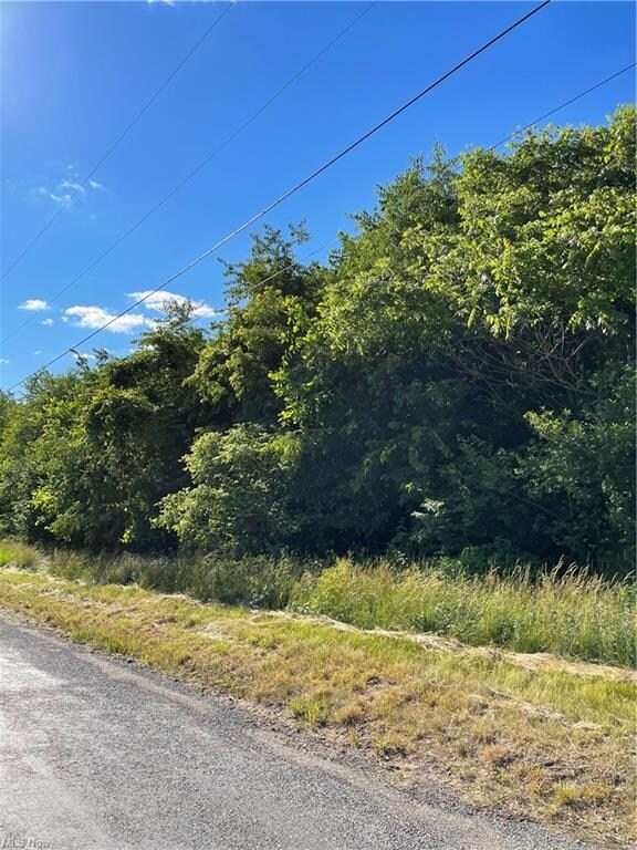 0 Annesley Rd, Calcutta, OH 43920 - photo 5