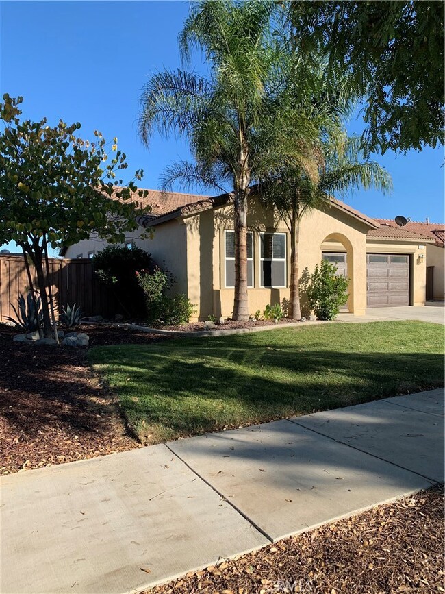 Nice shade trees and grass yard