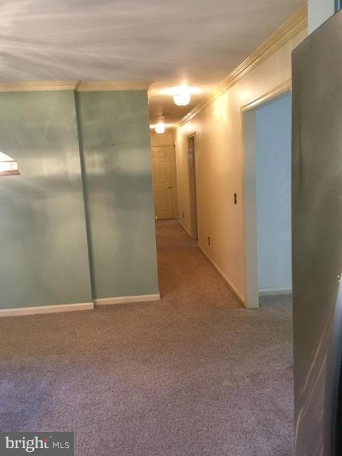 6910 Elm Dr, Alexandria, VA 22306 - photo 6