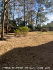 Spacious Back Yard