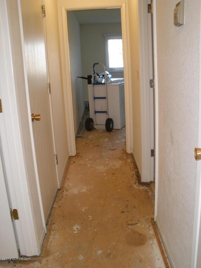 Downstairs Hallway