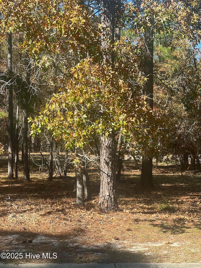 653 Antonica Place SE, Bolivia, NC 28422 - photo 4