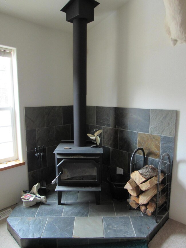 Wood stove