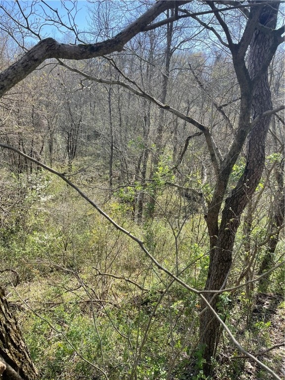 SR166 Thompson 1 Rd, New Salem, PA 15468 - photo 5