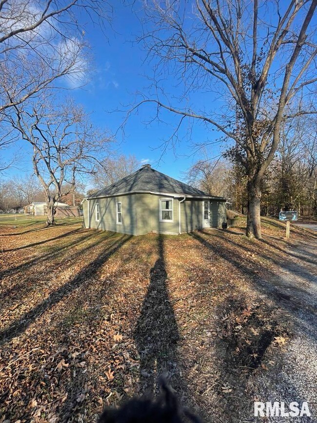 6219 E Main St, Mulkeytown, IL 62865 - photo 5