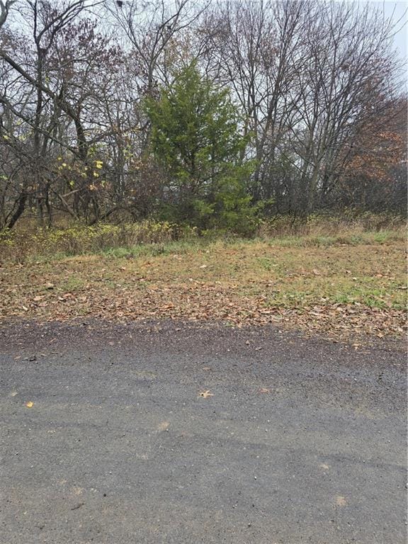 129 Woodcut Dr, Linn Valley, KS 66040 - photo 2