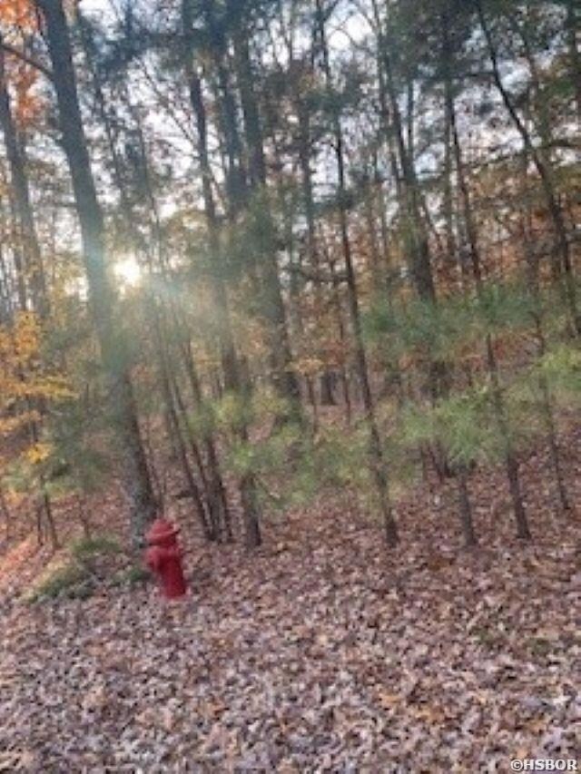 0 Rustic Hills unit 153365, Hot Springs, AR 71913 - photo 6