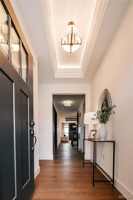 Entrance foyer featuring a tray ceiling, wood finished floors, and ornamental molding