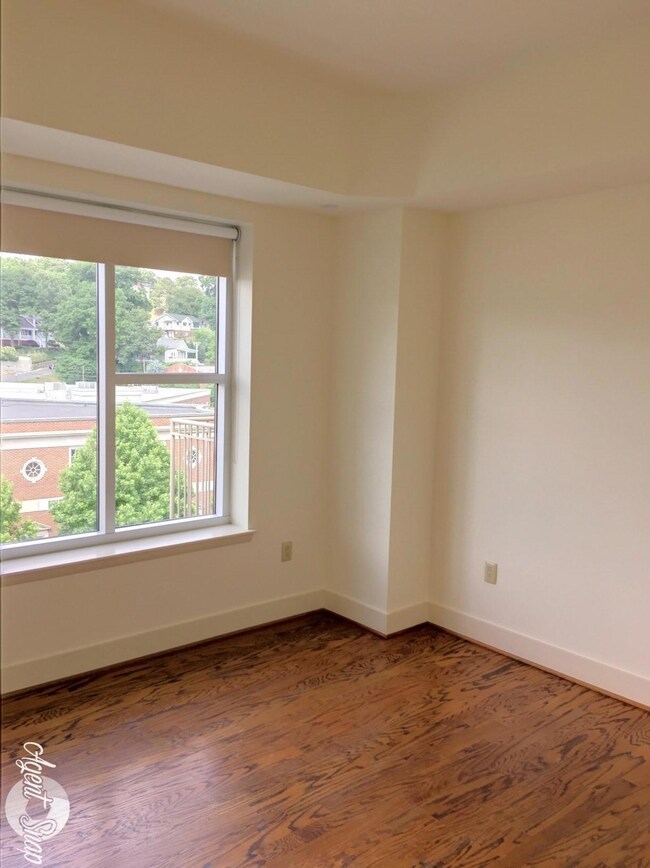 Image-6 (1)