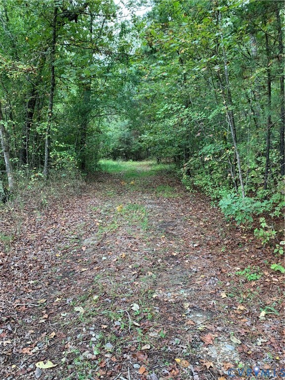 000 Barkwood Dr, Prince George, VA 23875 - photo 6