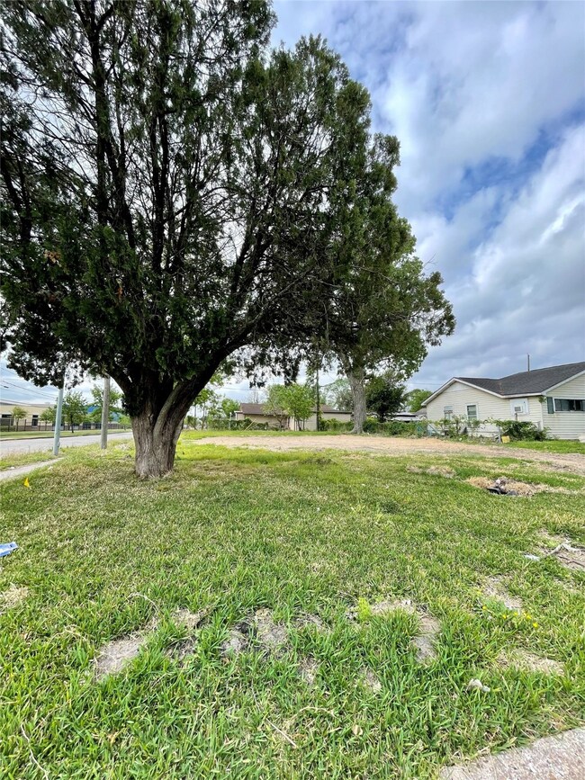 205 Hyta St, Houston, TX 77018 - photo 2