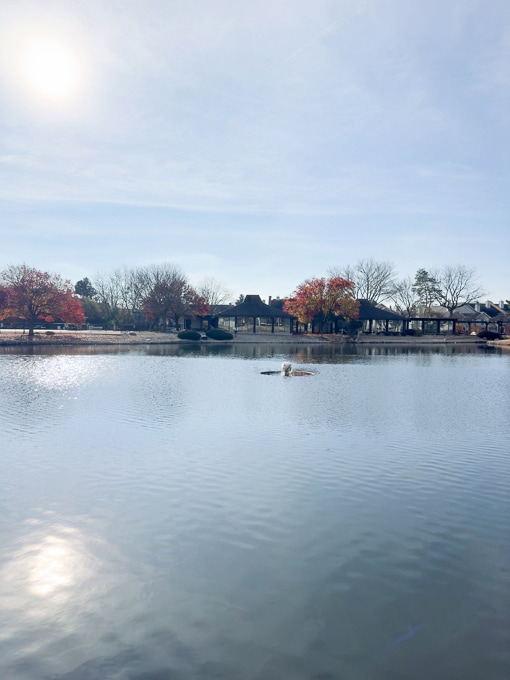 Cove Landing unit 812, Lombard, IL 60148 - photo 4