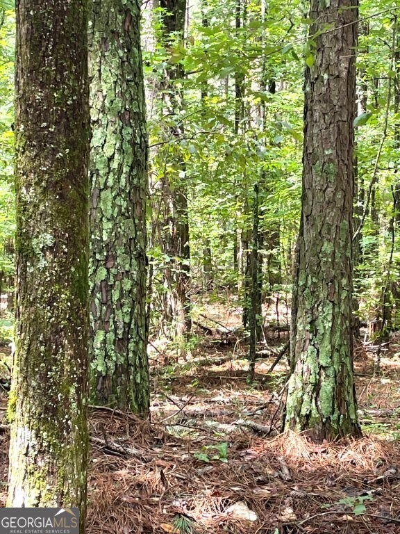 0 Georgia 22, Rayle, GA 30660 - photo 2