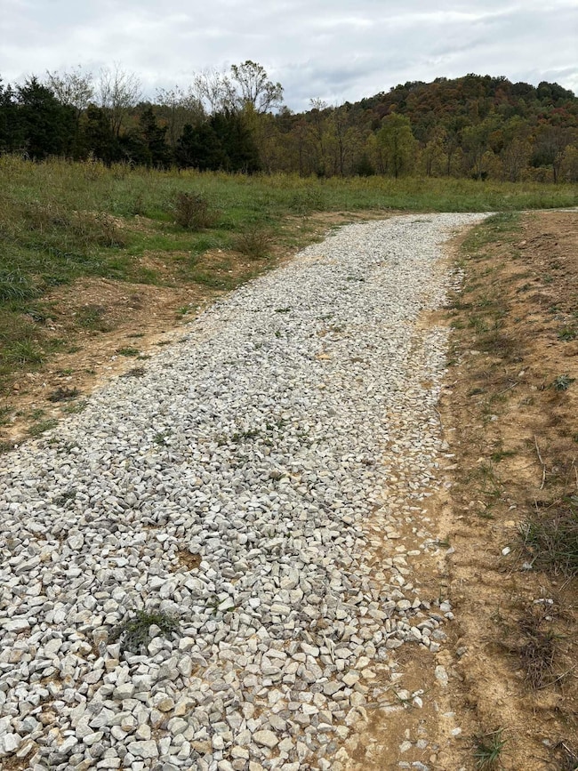 Pine Grove Ch Rd, Vanceburg, KY 41179 - photo 5