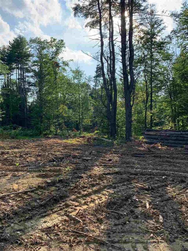 0 Franklin Pierce Hwy unit Map 126 Lot 61-1, Barrington, NH 03825 - photo 3