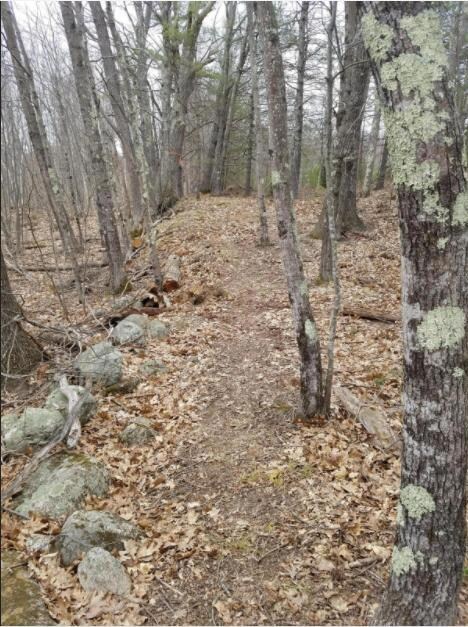 Walking path to river