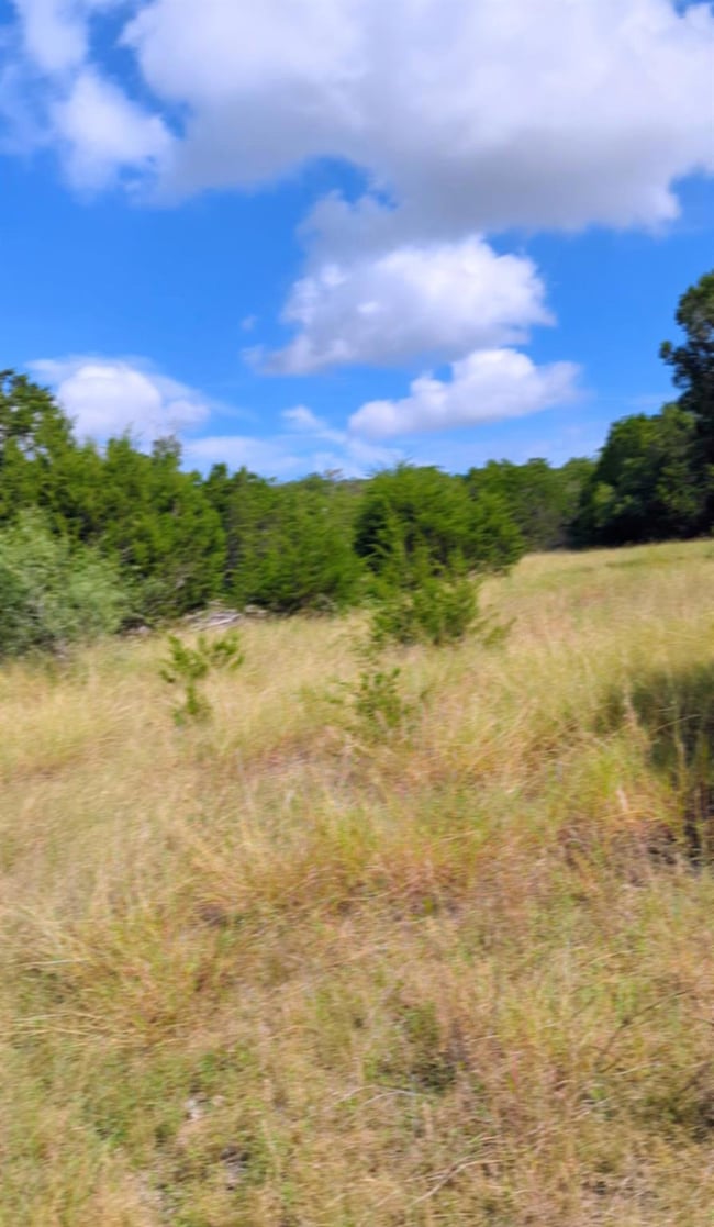 757 Rabbit Rd, Wimberley, TX 78676 - photo 6