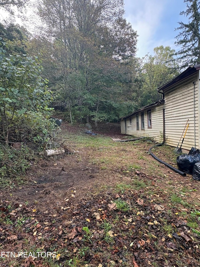 1340 Ryan Rd, Fall Branch, TN 37656 - photo 6