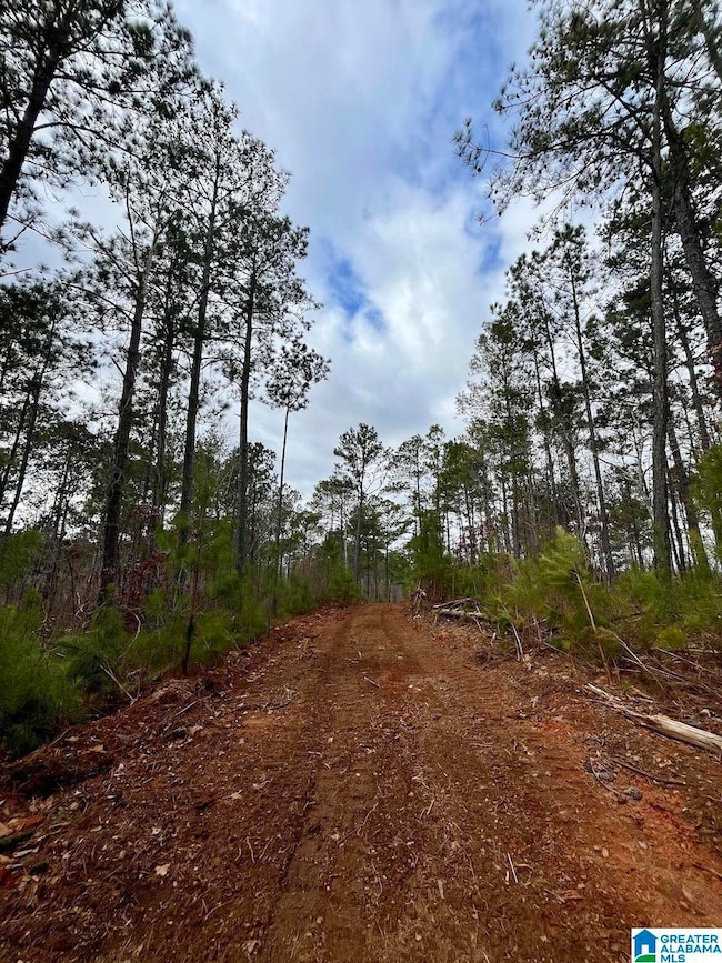 0 County Road 33 unit 21415403, Wedowee, AL 36278 - photo 2