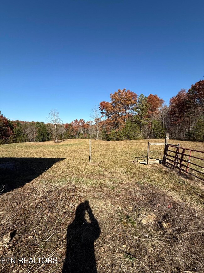 641 Vista View Pkwy, Jamestown, TN 38556 - photo 5