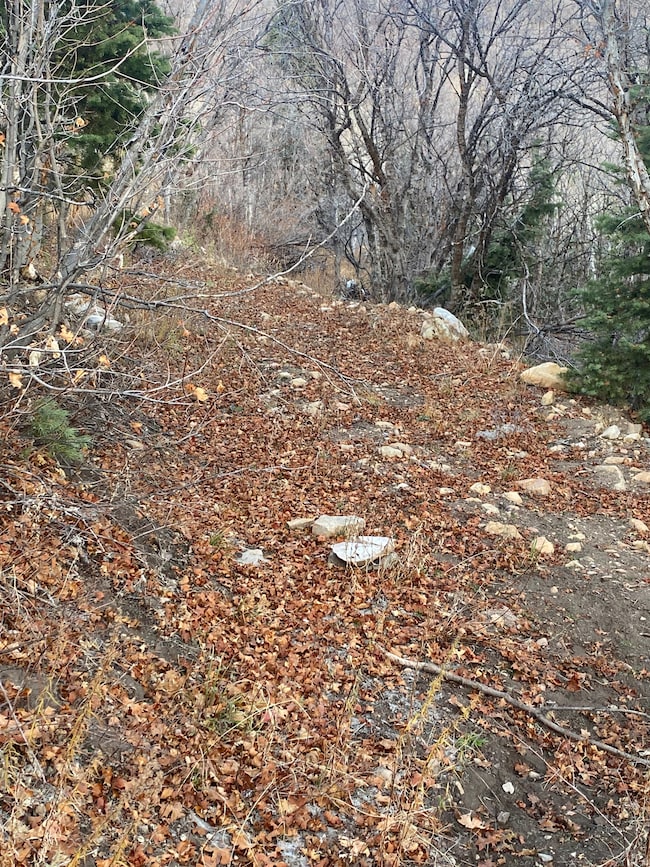 5946 E Upper Whittemore Dr unit 99, Springville, UT 84663 - photo 2