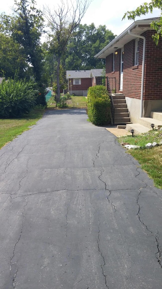 Asphalt driveway