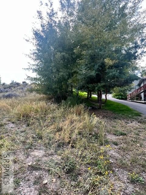 Left side boundary line