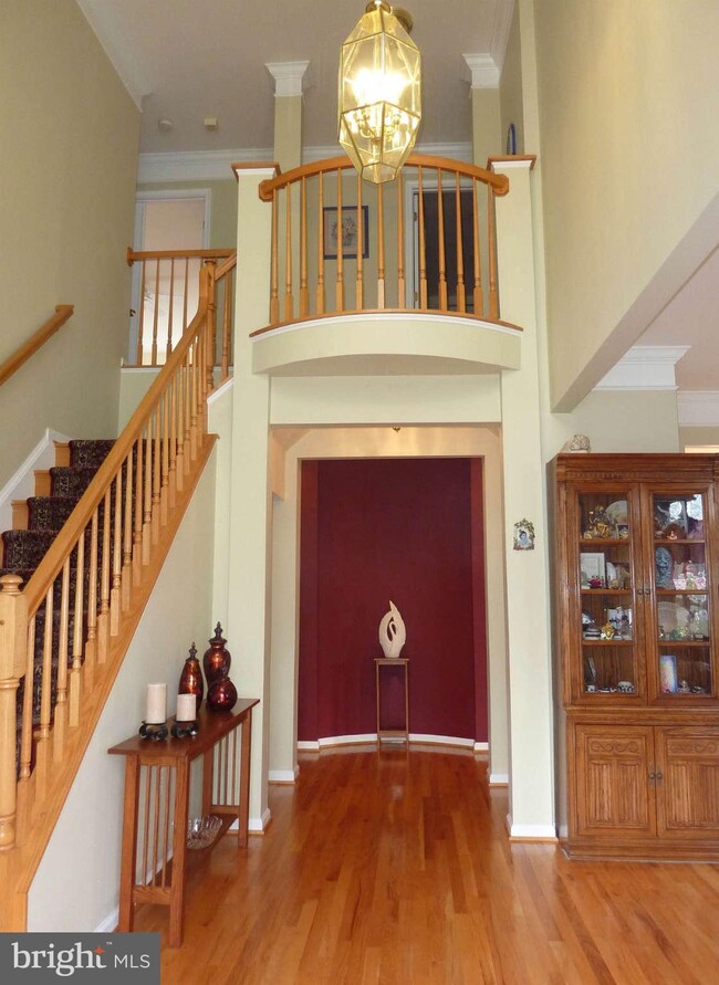 14423 Big Bear Ct, Silver Spring, MD 20906 - photo 7