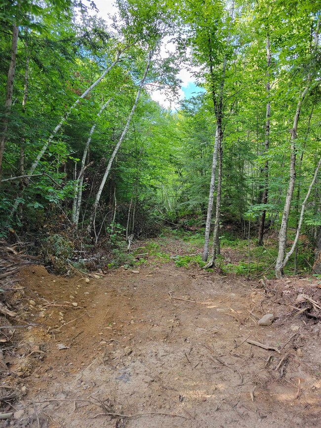 Lot seems dry, semi-flat and ready for a home.  Th