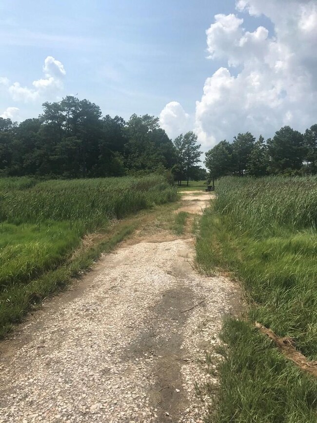 community water access