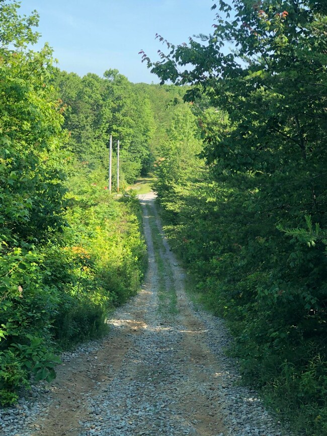 Brier Lane IMG_9977