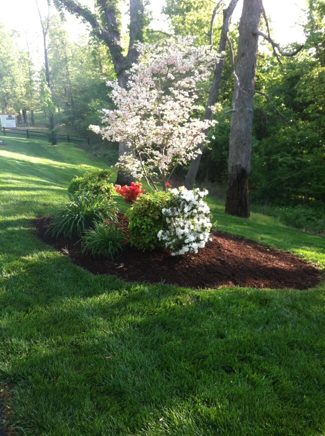 Entry Landscaping