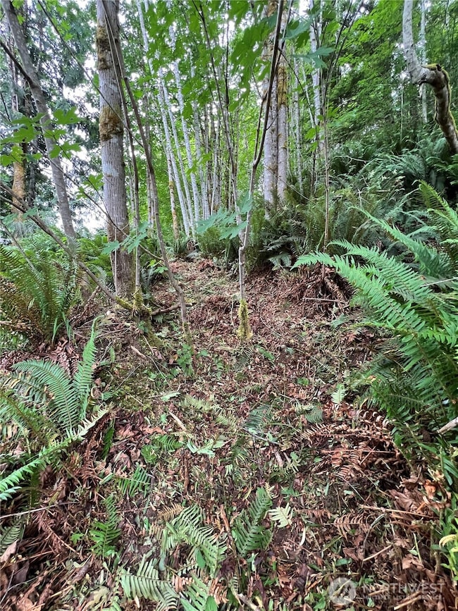 0 Lot 87 W Star Lake Dr, Elma, WA 98541 - photo 7