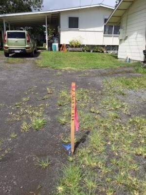 1746 Kilauea Ave, Hilo, HI 96720 - photo 5