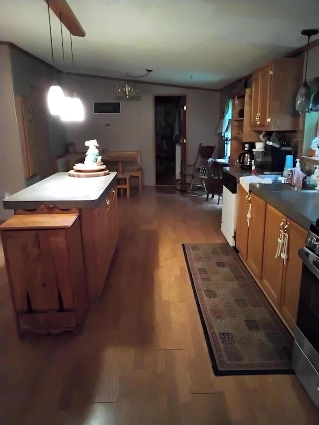 12368 M-37 Hwy -kitchen 1