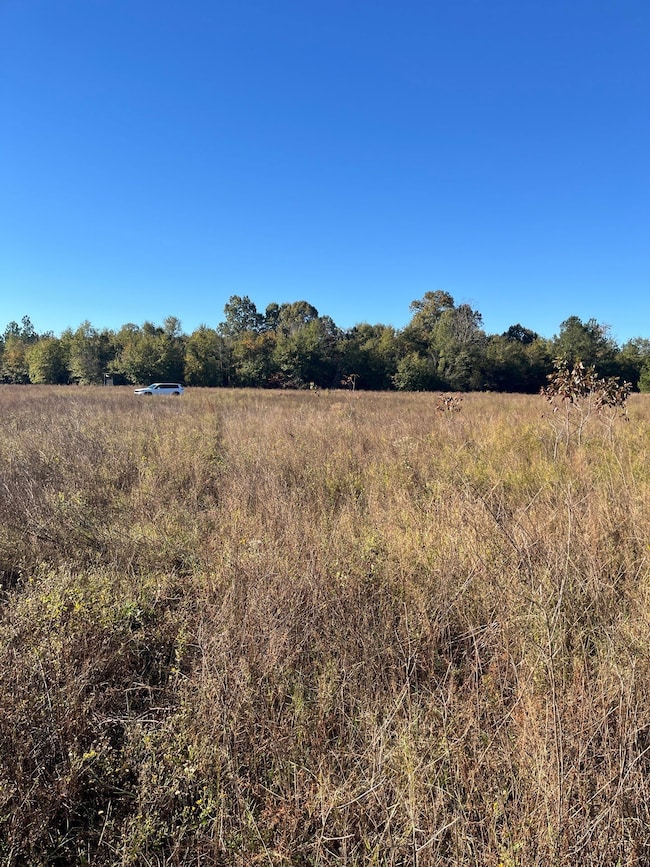 Bhl 2 Boise Cascade Rd, Bethune, SC 29009 - photo 4