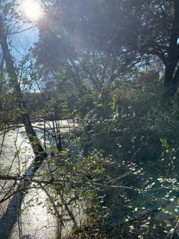 2148 County Road 540, Alvin, TX 77511 - photo 6